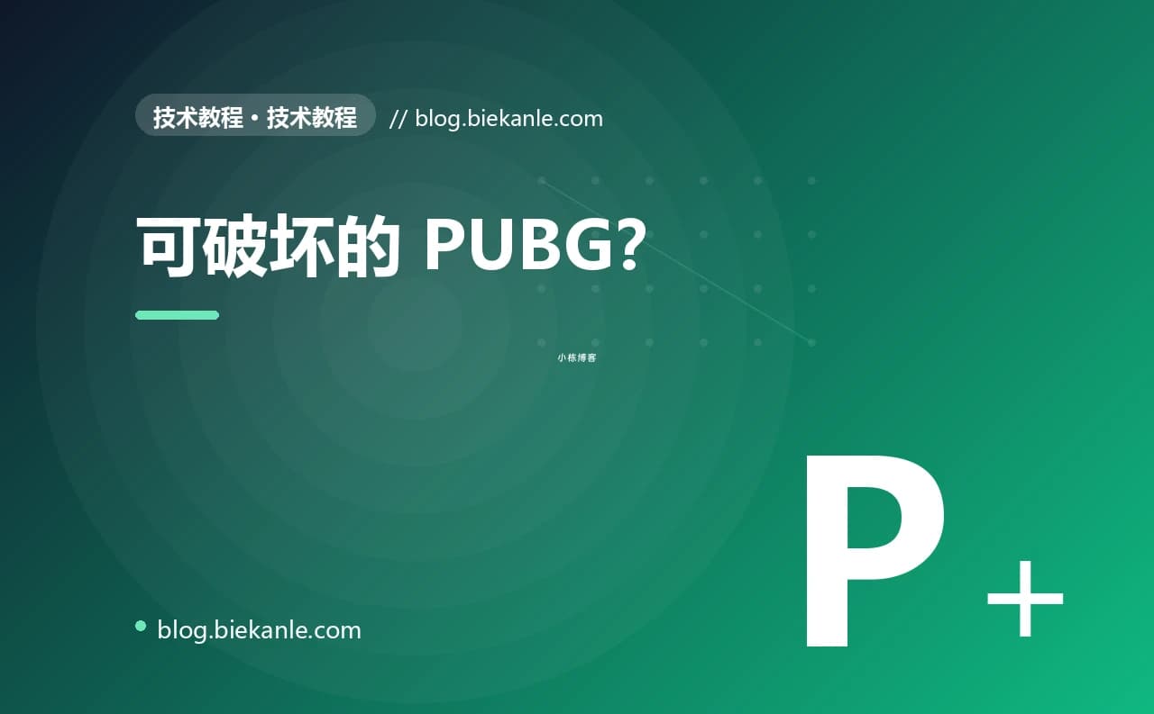 可破坏的 PUBG？