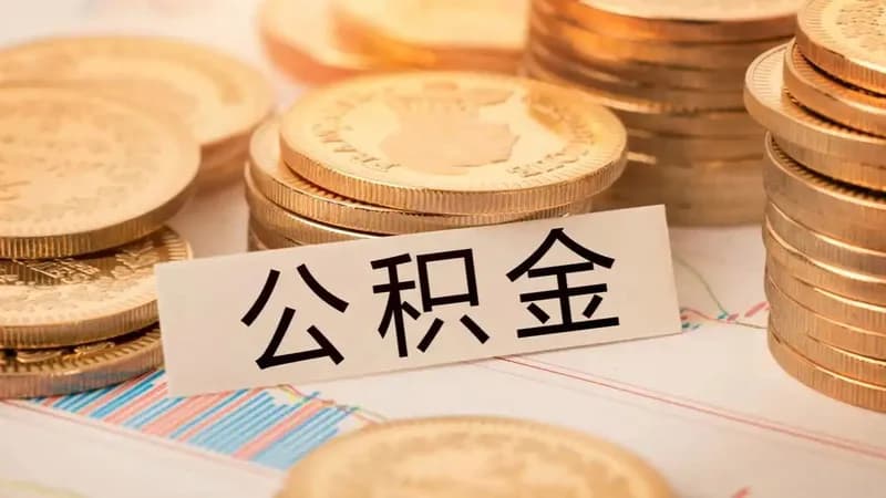 10月14日热榜：10万亿“沉睡”公积金正在激活、机器狗第一次进哀牢山就拍到冥界之花、未来五年看病就医会有哪些新变化
