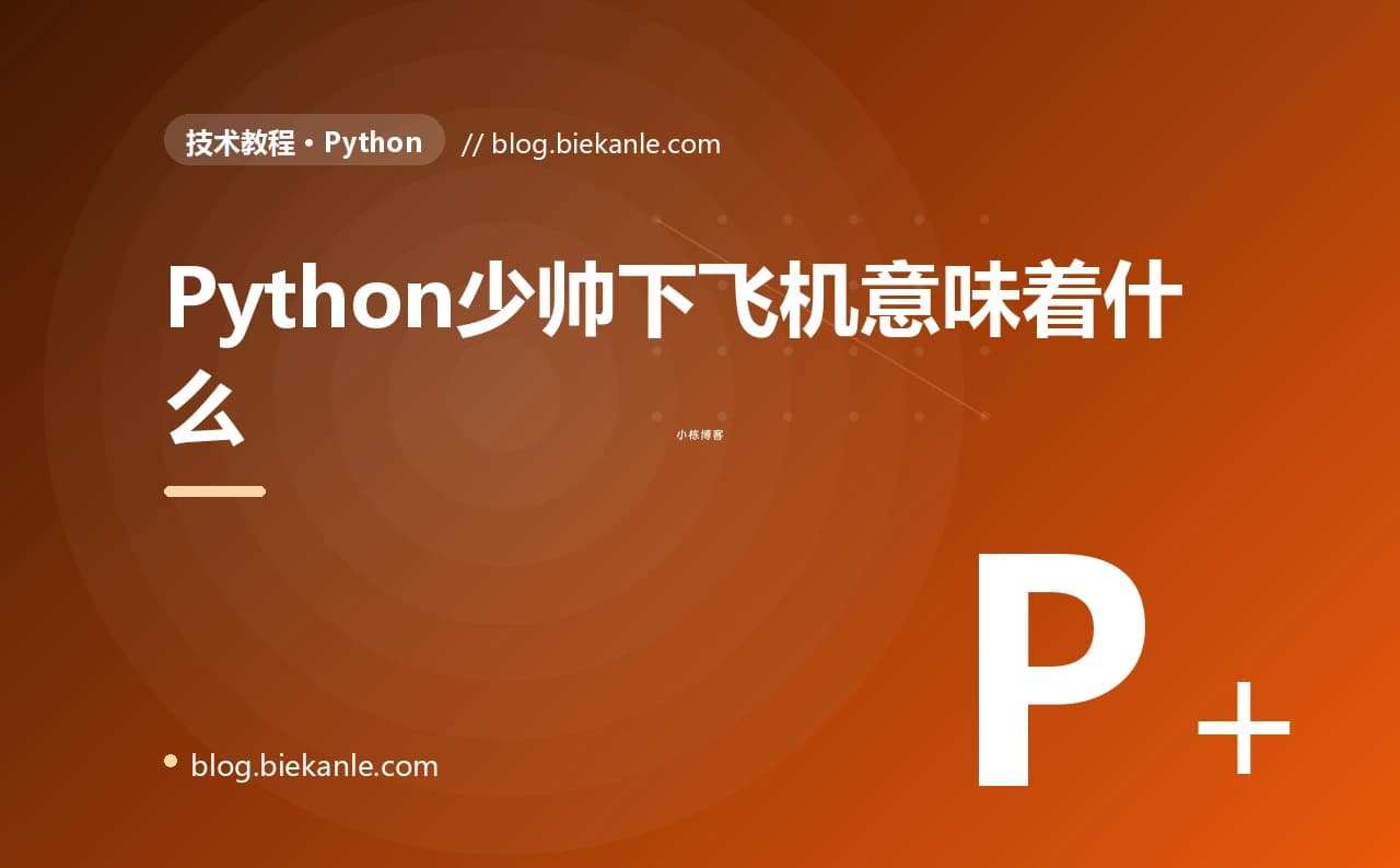 Python少帅下飞机意味着什么