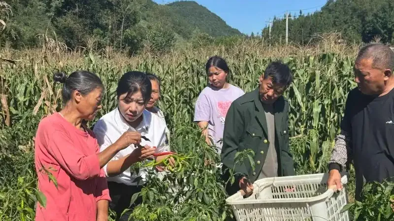 95后清华核科技女博士当村支书