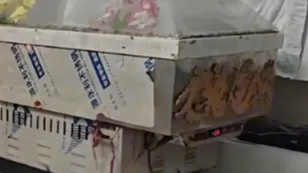 七旬老太入冰棺后又睁眼“复活”