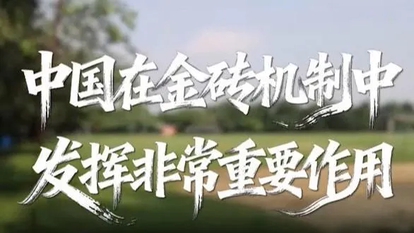 中国在金砖机制中发挥非常重要作用