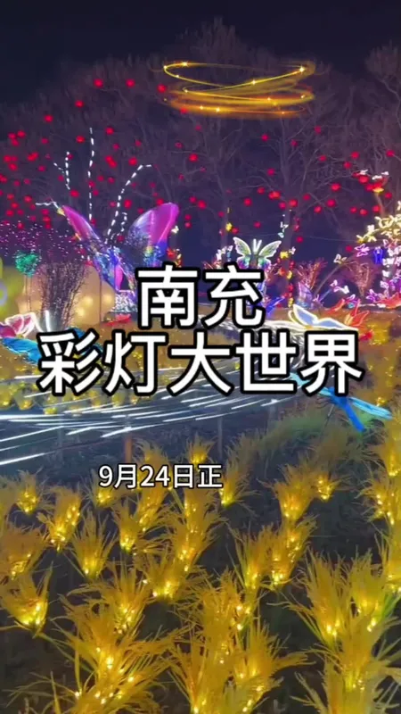 我的假期被灯会安排明白了