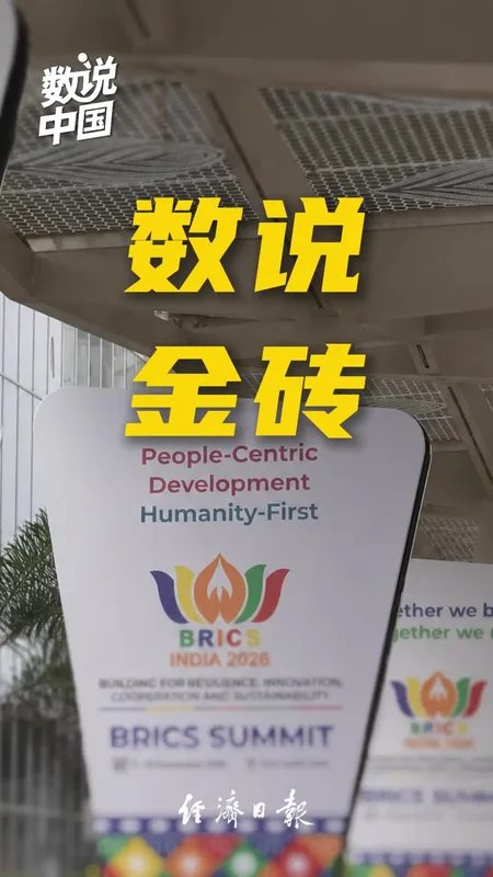 一组数据看金砖20年