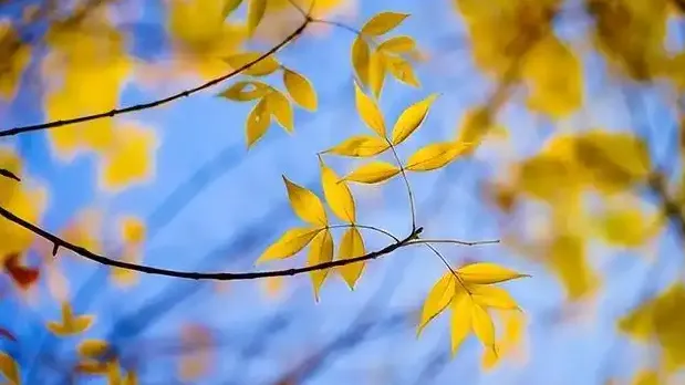 今日秋分