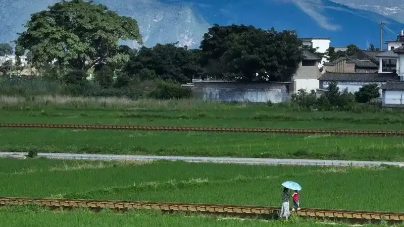 游客没少 民宿却不赚钱了