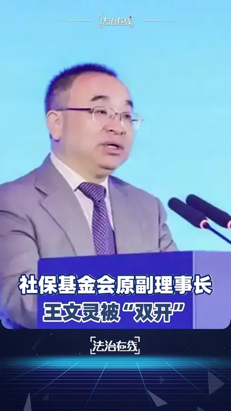 社保基金会原副理事长王文灵被双开