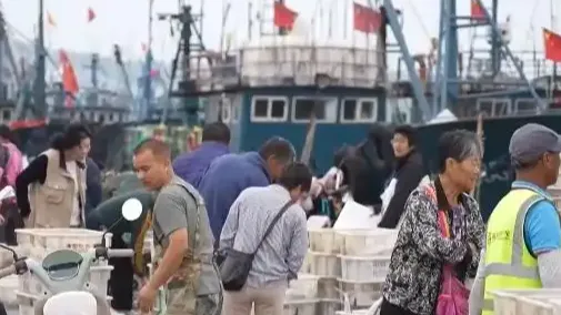 皮皮虾梭子蟹价格“大跳水”