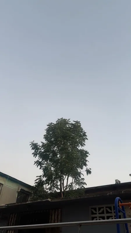 怀念国庆在老家悠闲的日子