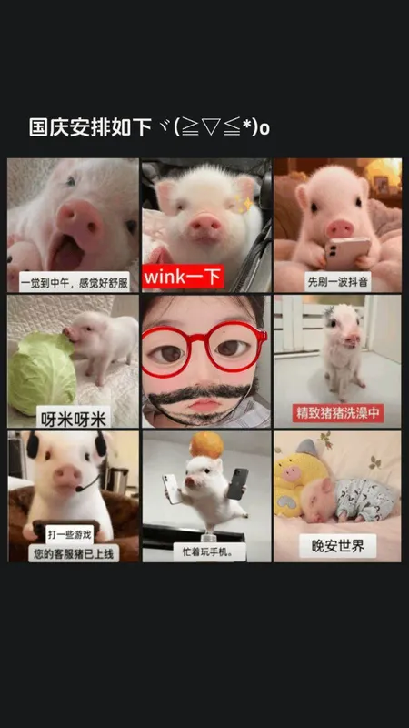 我的国庆安排belike