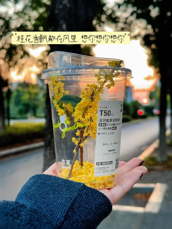 几度秋意浓最是桂花香