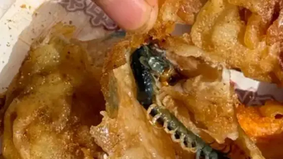 炸鸡吃出整条蜈蚣 商家已停业整顿