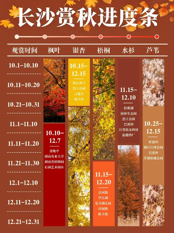 全国赏秋进度条