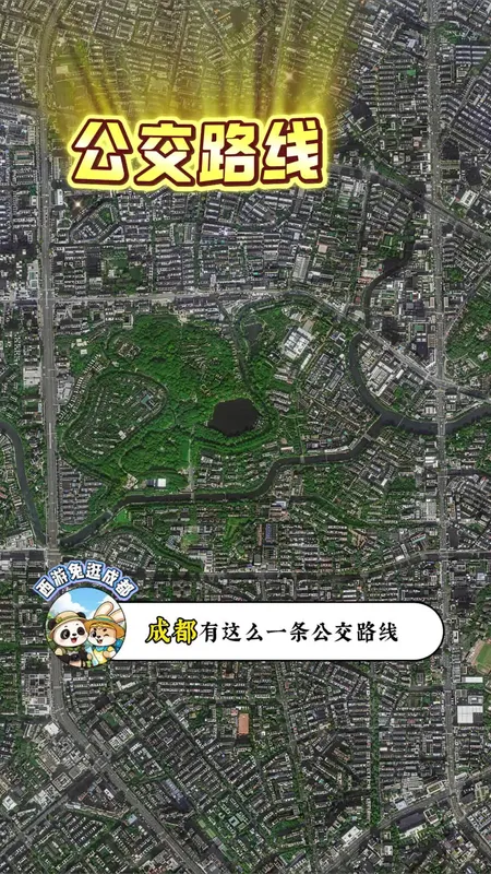 谁还没用公交逛过一座城