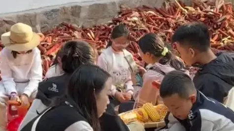 景区推出掰玉米粒活动 游客变劳动力