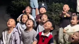 这才是真正的“欲买桂花同载酒”