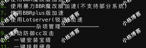 BBR原版/魔改/plus/锐速多合一脚本linux加速脚本/硬盘挂载/cc防御/宝塔/dns