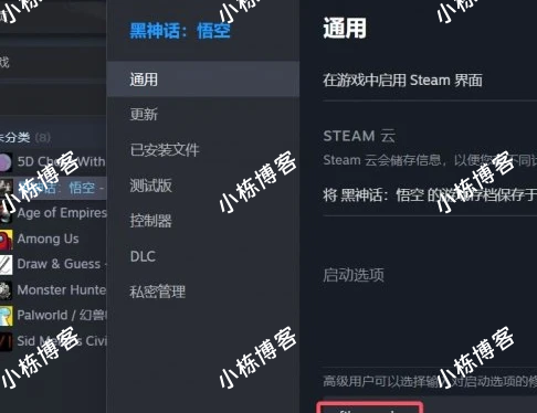 黑神话：悟空 天命人替换mod