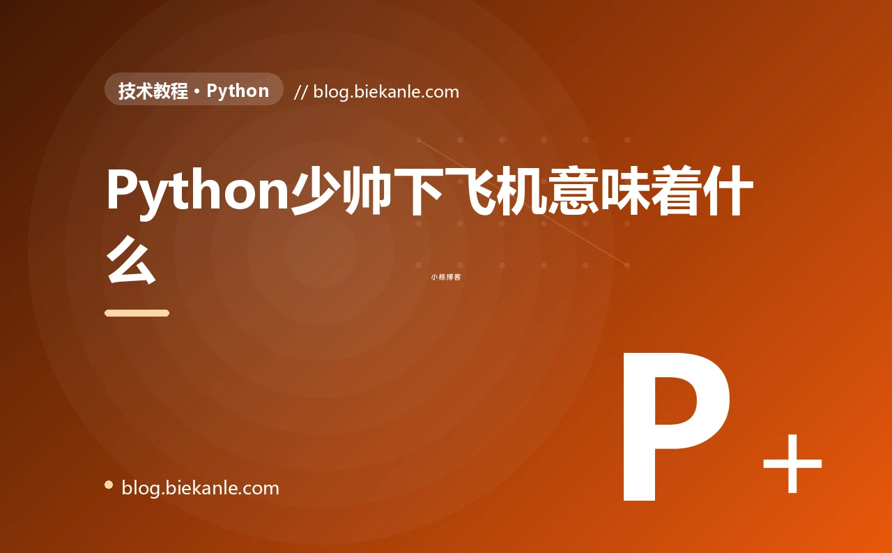 Python少帅下飞机意味着什么