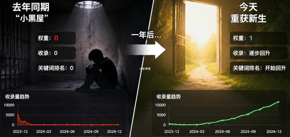 被搜索引擎关进“小黑屋”一年后：我的网站奇迹般恢复权1的沉浮录