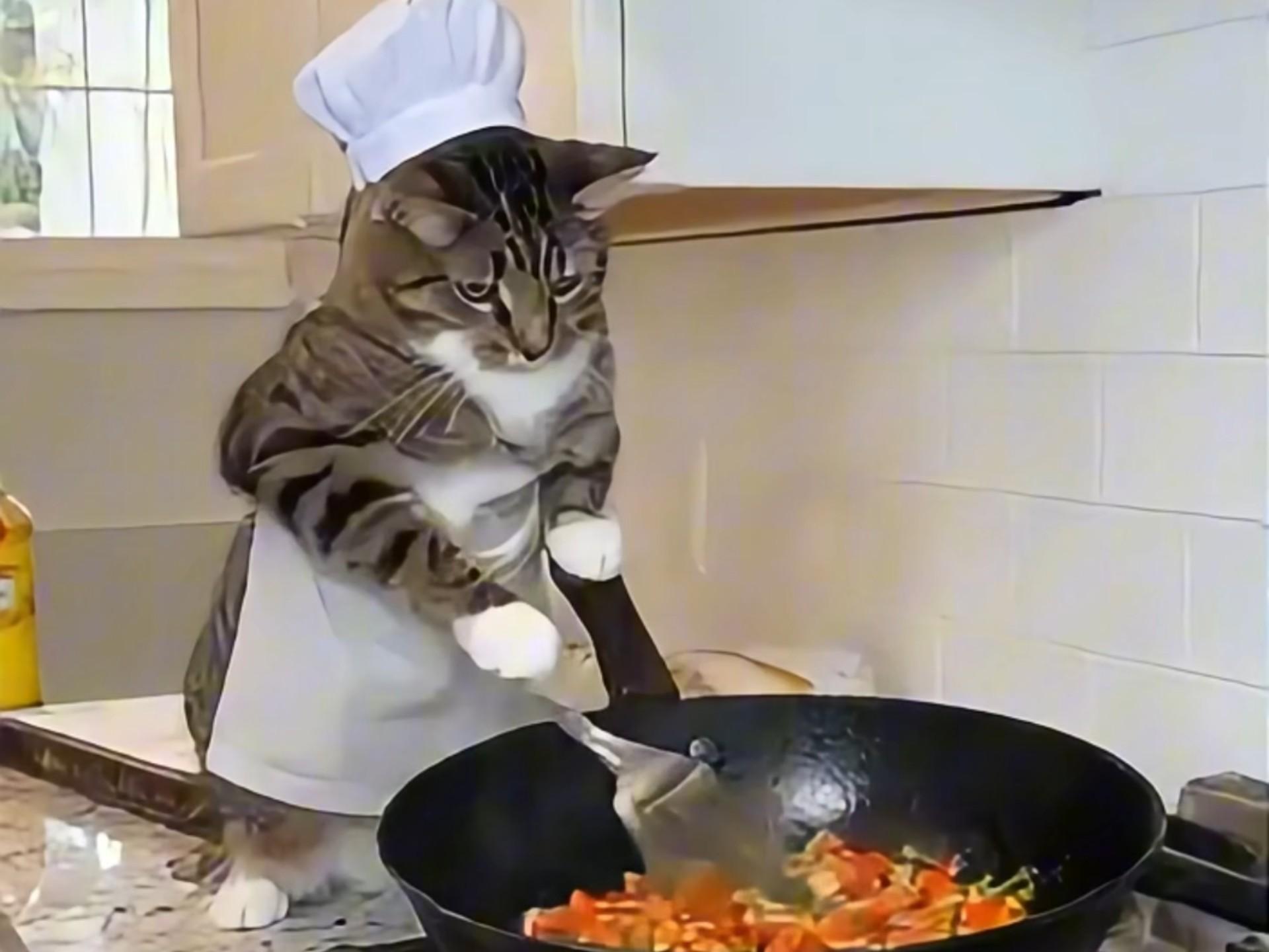 妈：你不结婚老了谁照顾你？我👁→我的猫