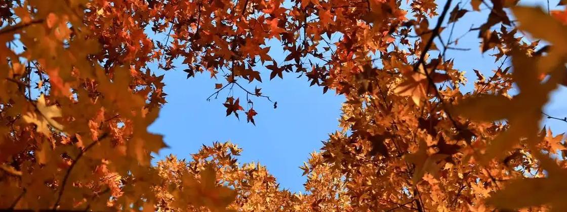 秋季为何越来越短了