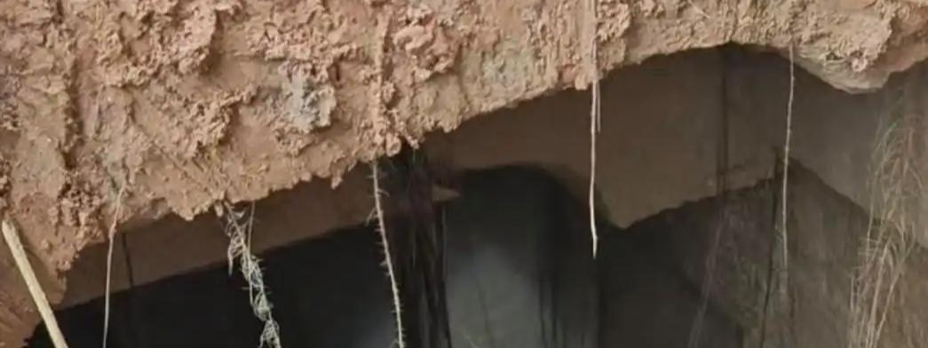 四川乐山大佛街道一工地挖出古墓