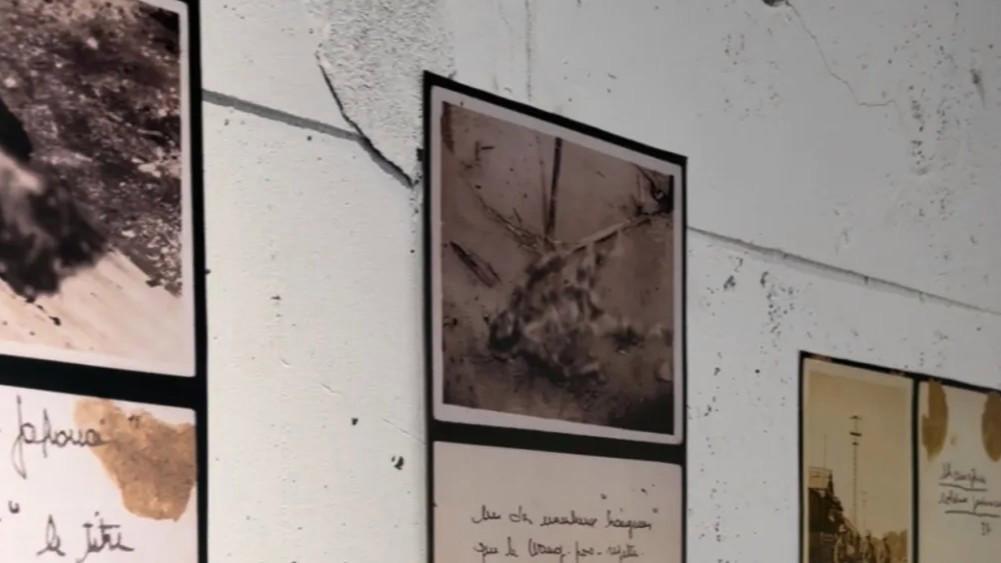 马库斯在日本展出日军侵华照片