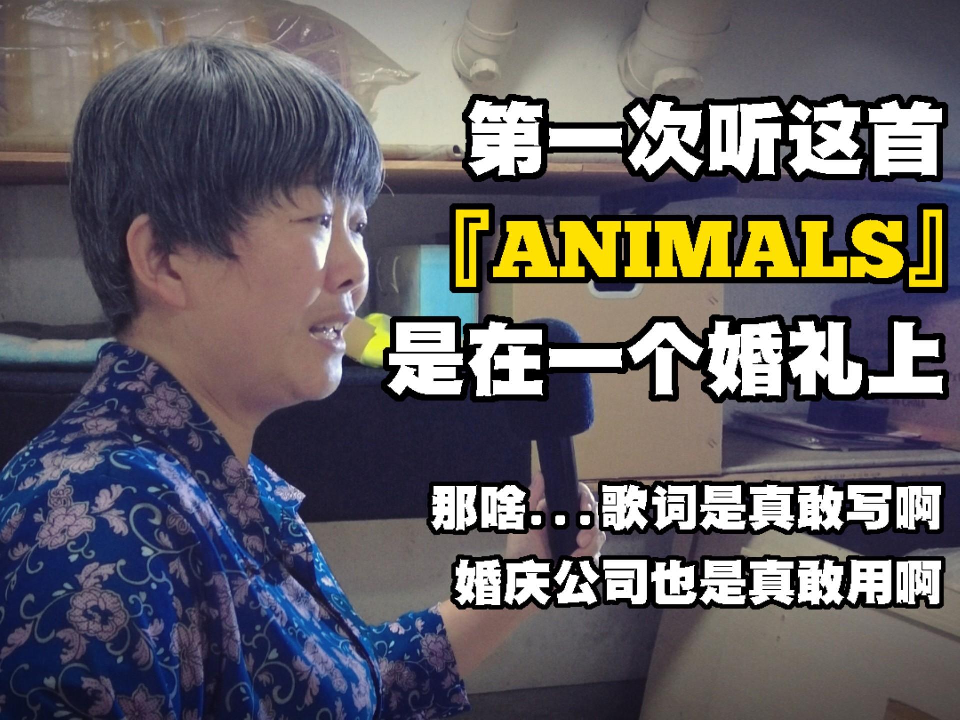 Maroon5魔力红『Animals』翻唱