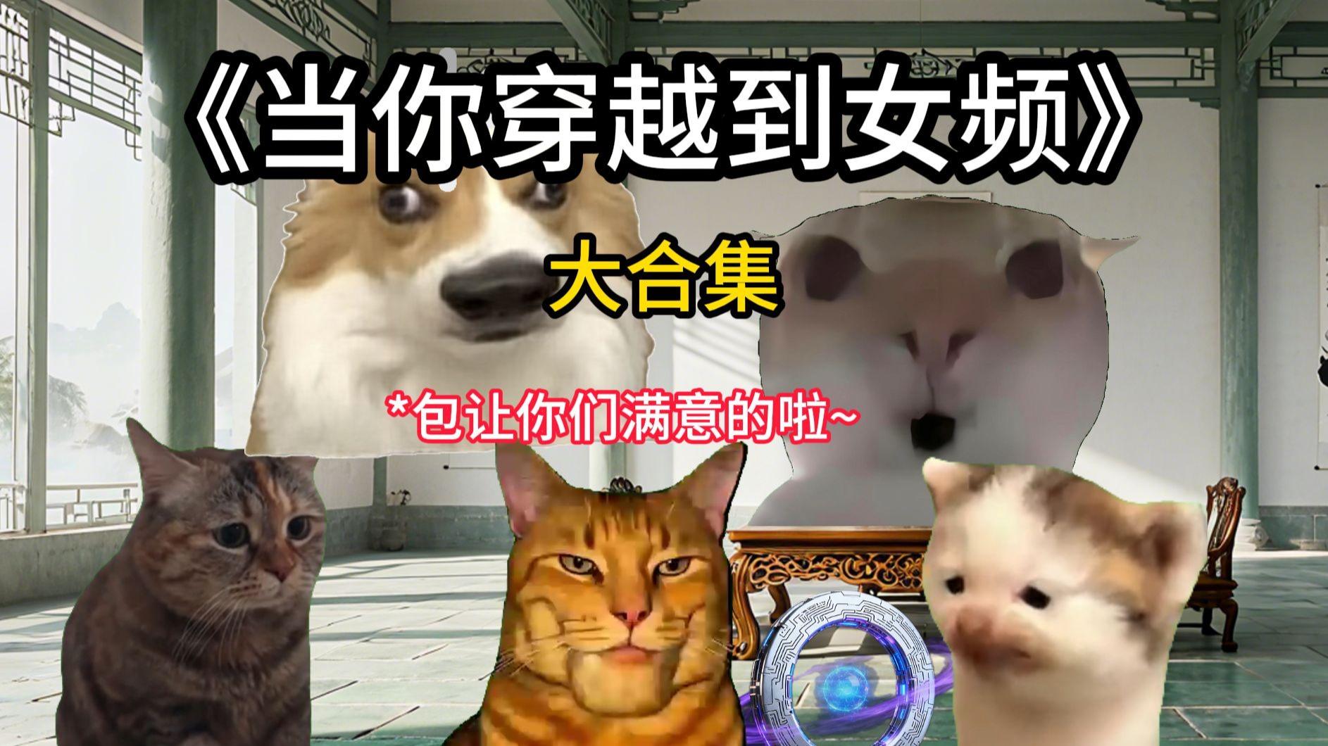 《当你穿越到女频》