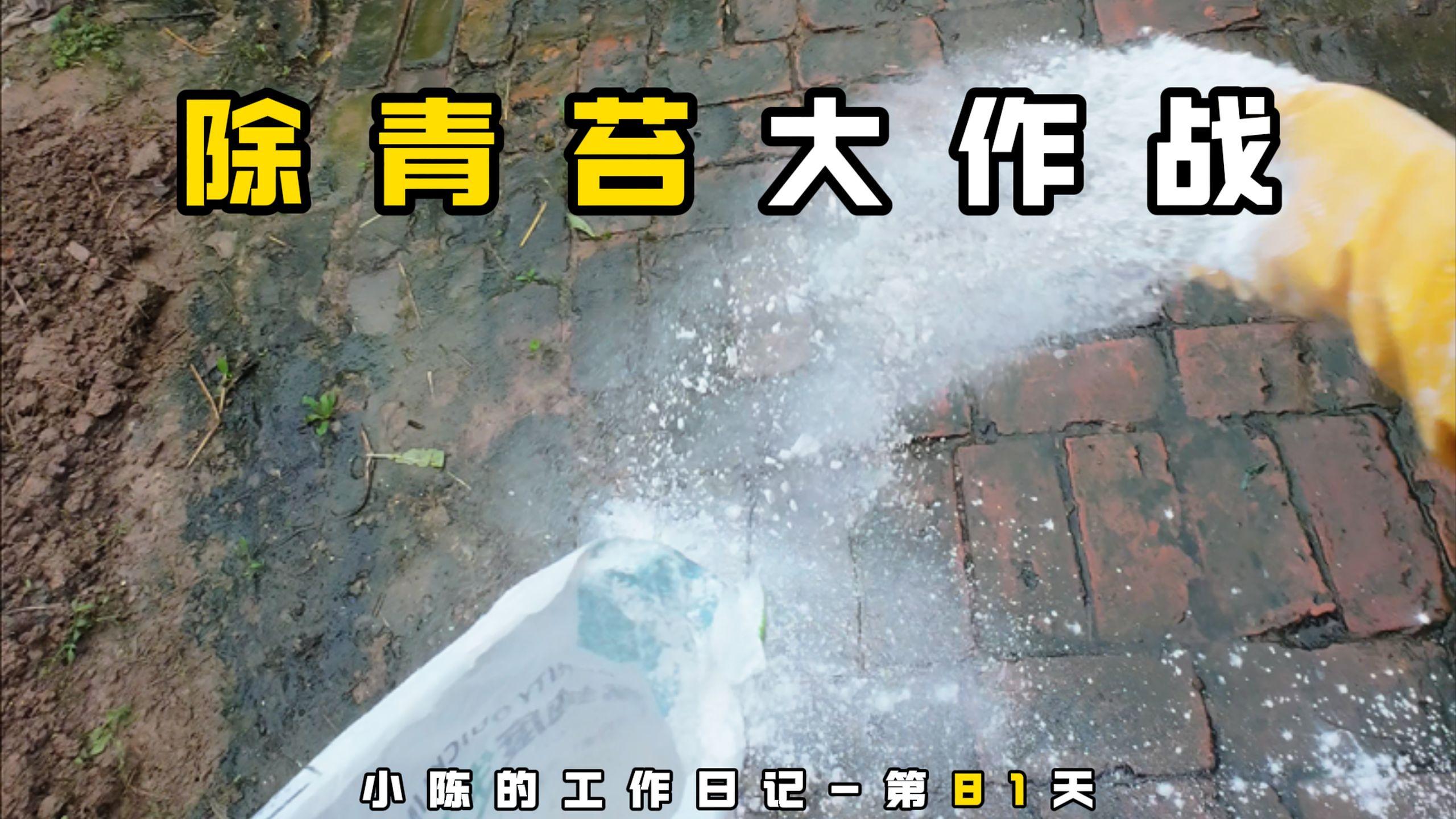 干基层就要细心,今天帮村里的老人除青苔!