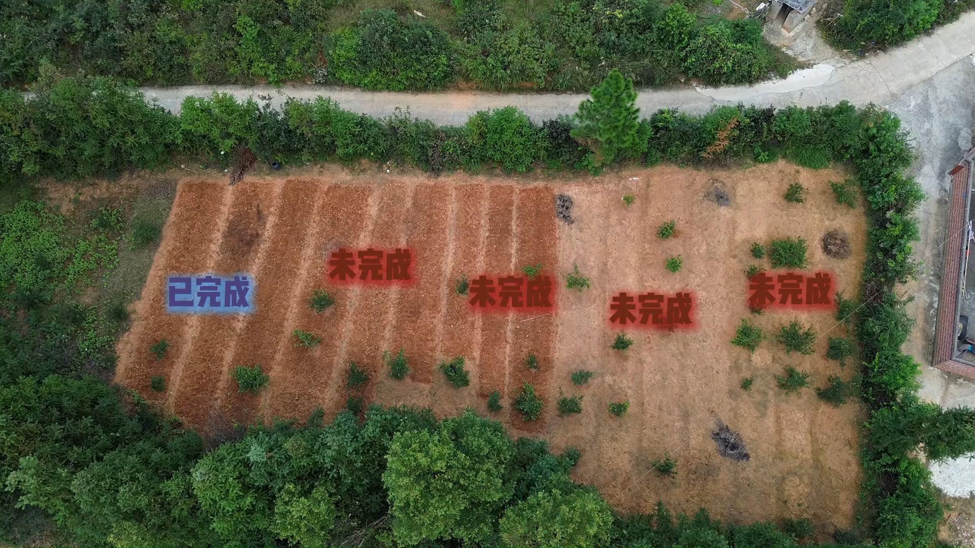 我方已部署戰爭巨獸