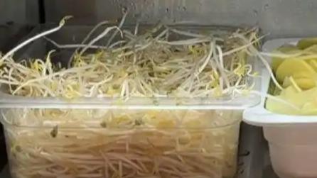 杨国福1斤豆芽28元贵过山姆