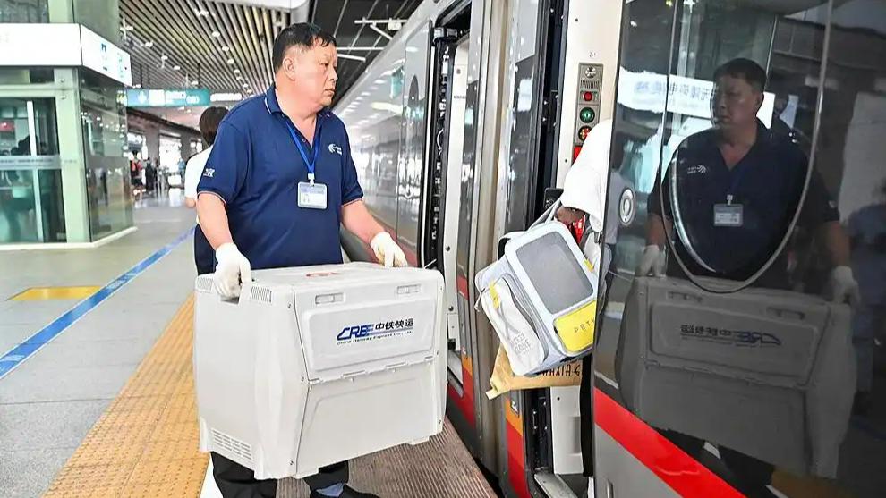 车票带“宠”字 宠物托运服务上新了