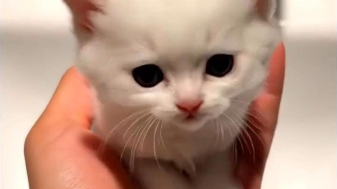 这一曲我再唱郑州！欢迎来到河南郑州！