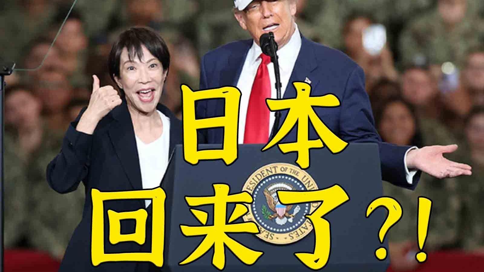 割肉侍美但是好评如潮：友邦惊诧直呼看不懂