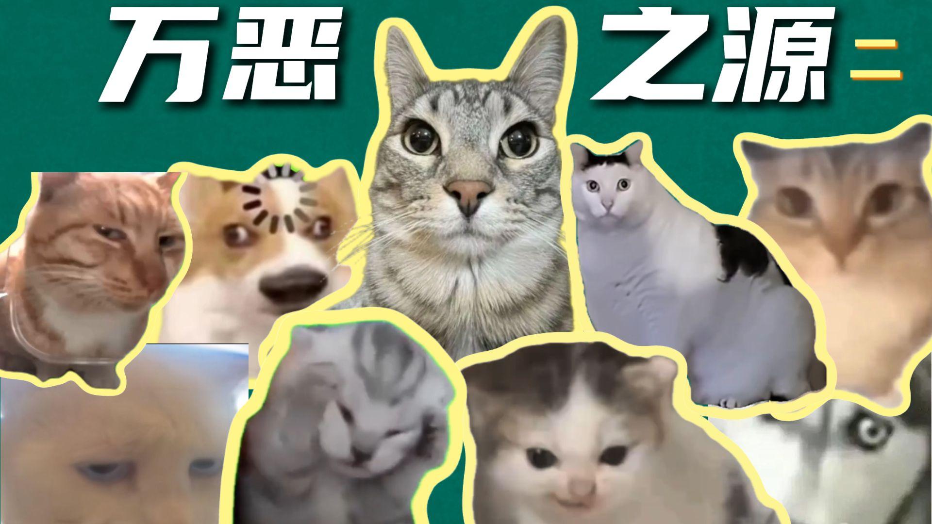 探究互联网上的那些万恶之源是怎么来的  [第二期]