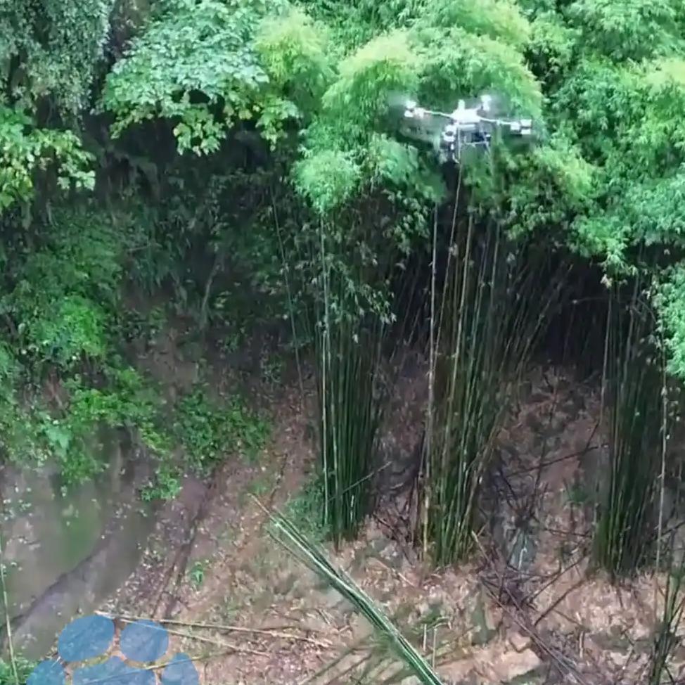 00后小伙用无人机吊运竹子:月赚4万