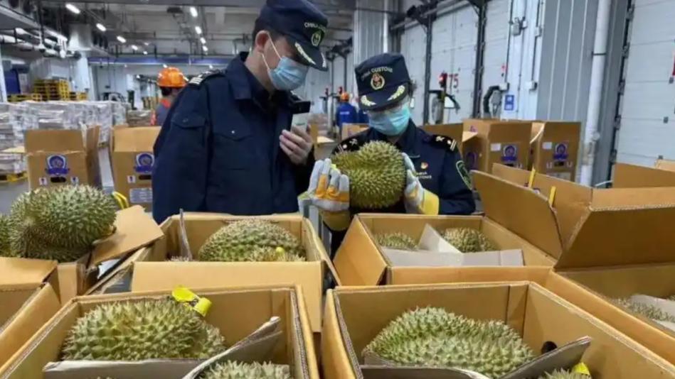 只把价格打下来不是真“榴莲自由”