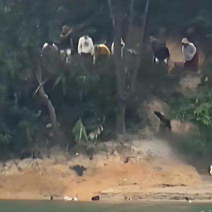 多人在水库边放生野猫 警方回应