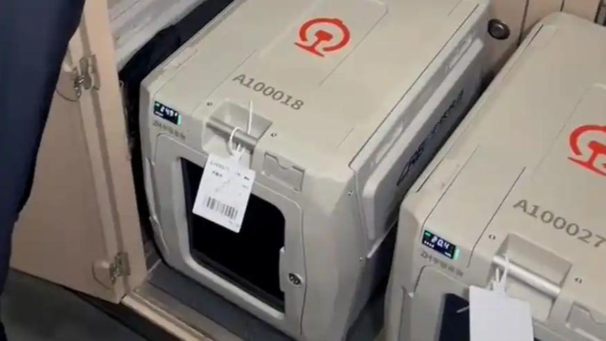 12306购票页面出现“宠”字是咋回事