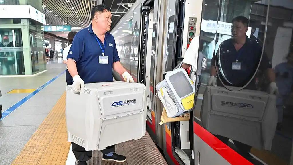 12306服务上新:宠物可无人陪护托运