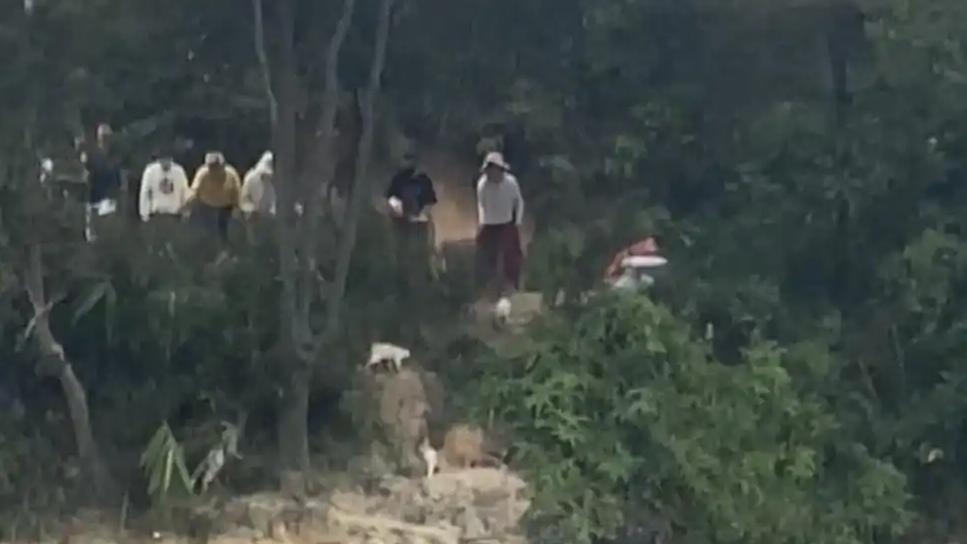 水库放生猫 这哪里是“善”