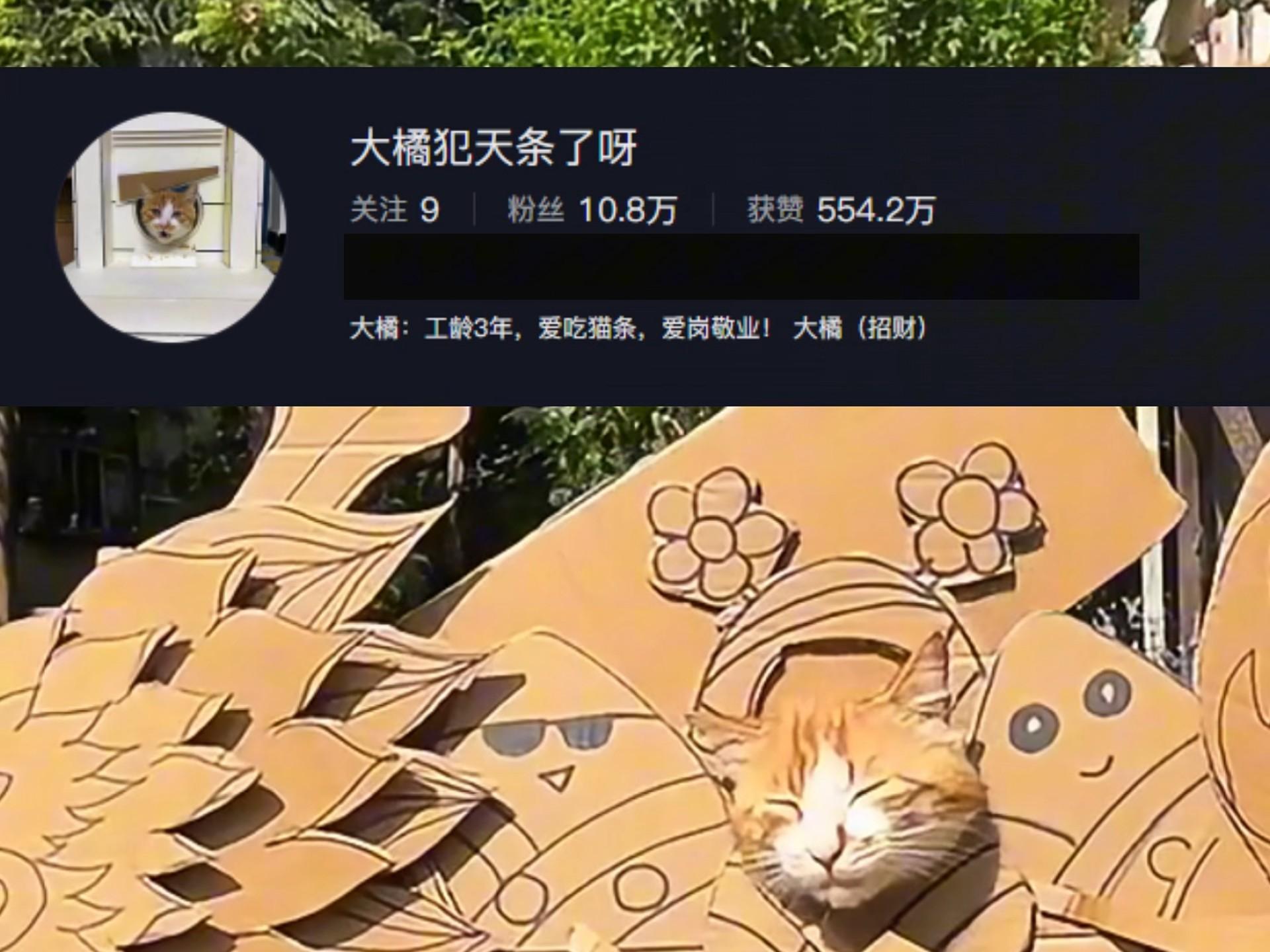 赛博人物志⚡传奇砍猫王⚡