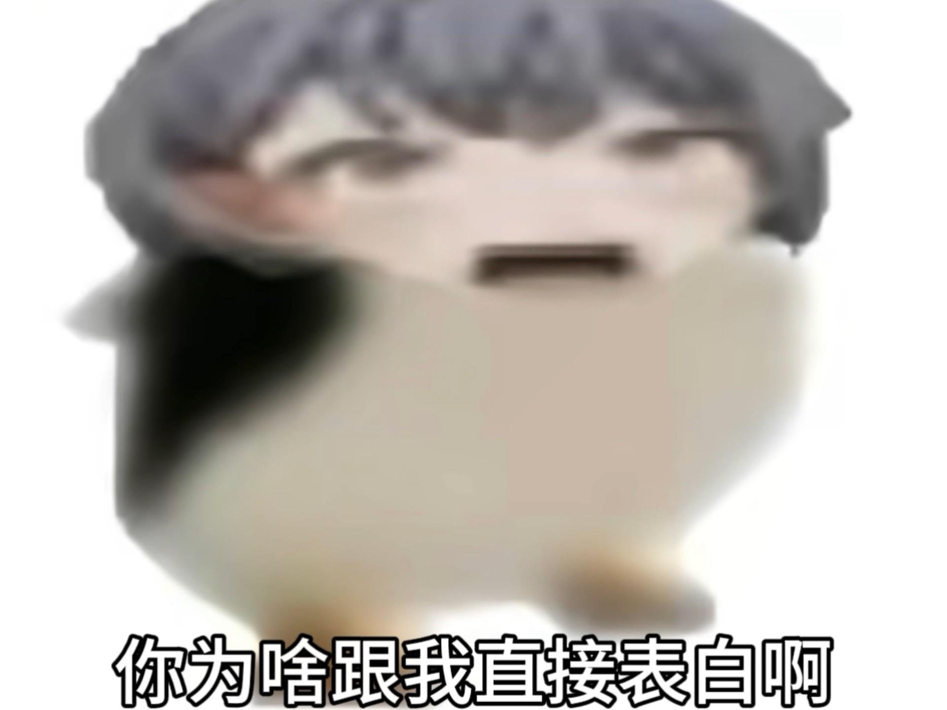 🐧你为啥跟我直接表白啊