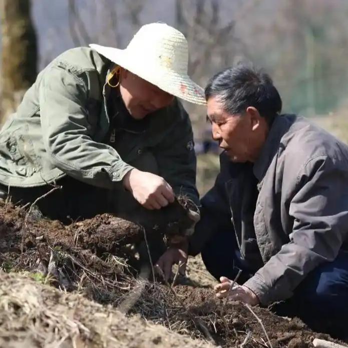 扶贫老书记去世 工资卡余额38.83元