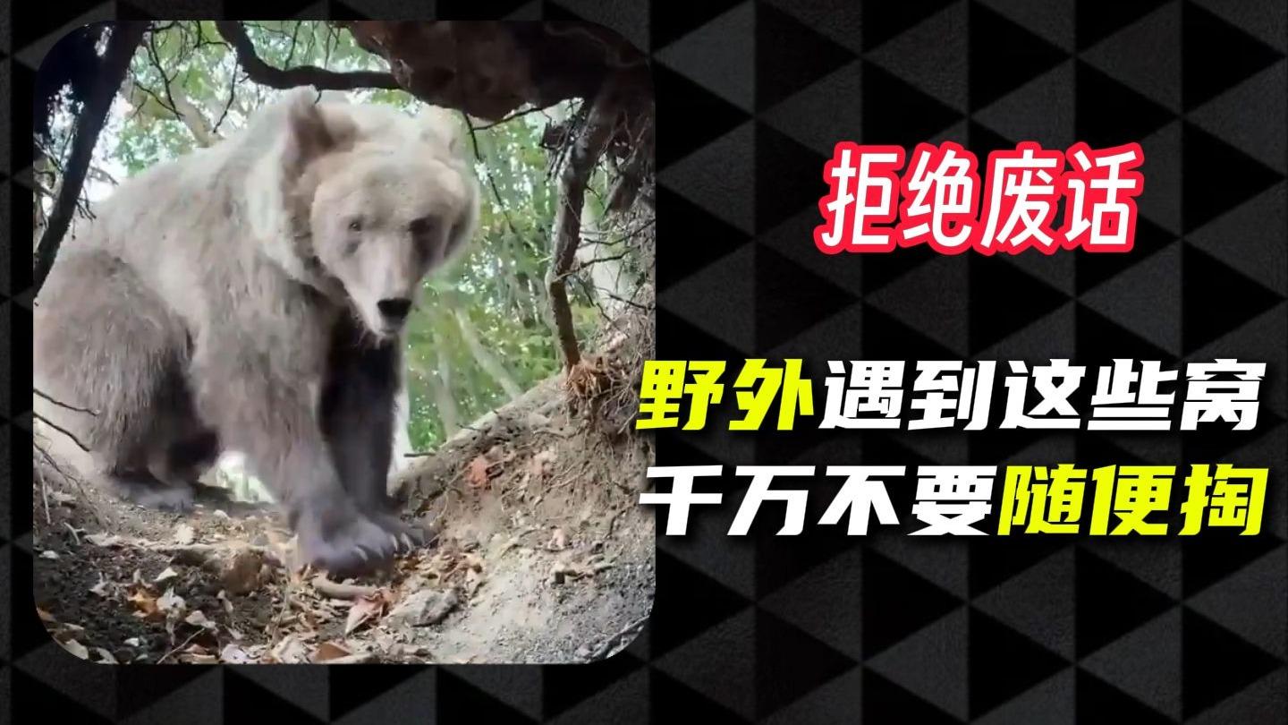 野外遇到这些洞可别再随便掏了