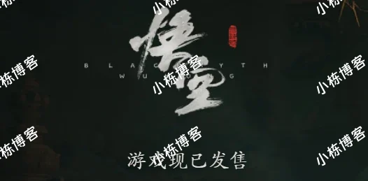 《黑神话：悟空》减少读盘时间和卡顿补丁