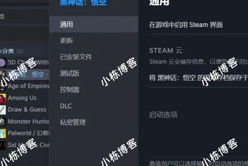 黑神话：悟空 天命人替换mod