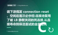 偶发 connection reset:连接池复用死连接避坑